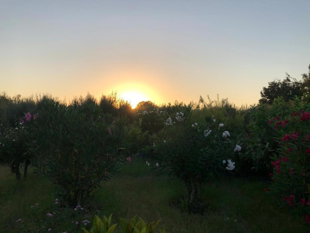 Mantenia Hotel Platanes  Dış mekan fotoğraf